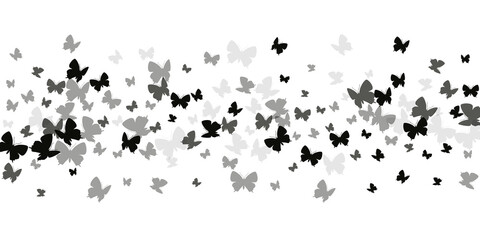 Magic black butterflies cartoon vector background. Spring funny insects. Simple butterflies cartoon fantasy illustration. Gentle wings moths patten. Tropical creatures.