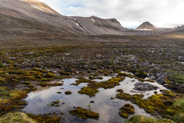High arctic © Michal Czub