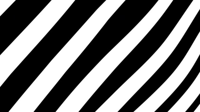 Black and white stripes background.
Abstract Black and white lines stripes moving in seamless looping loop. HD 4k UHD Alpha Channel footage motion video clip. Abstract zebra pattern background 