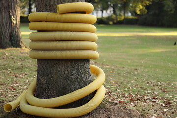 Yellow tube wrapped around a tree