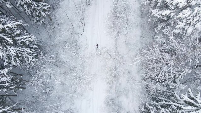 mom and son ride tubing in a winter frosty forest aerial view