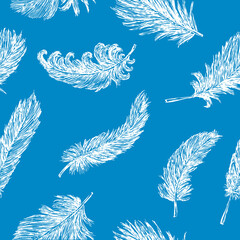 Seamless background of sketches white birds feathers