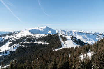 Snowy mountain tops and alpine trees