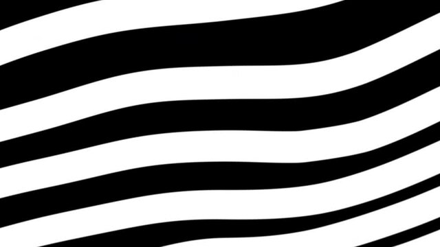 Black and white stripes background.
Abstract Black and white lines stripes moving in seamless looping loop. HD 4k UHD Alpha Channel footage motion video clip. Abstract pattern background. 