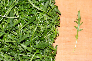 close-up of a pile of fresh arugula leaves on wooden background.