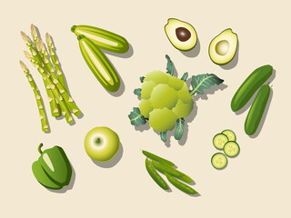 set vector illustrations of green vegetable, avocado, apple, broccoli, green pepper, cucumber, peas, asparagus and zucchini-  isolated on a light background organic food top view for vegetaria