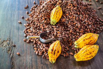 Cocoa pods and cocoa beans On a wooden background