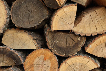 Wooden background of log layers