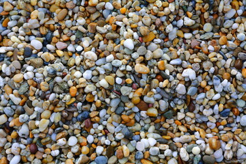 Colored sea pebbles texture background