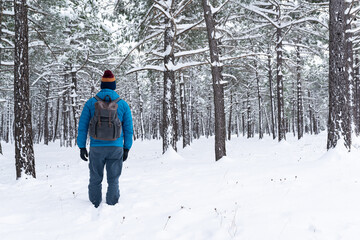 Fototapeta na wymiar Back view of a man with a backpack in a snowy pine forest. Winter walks. 