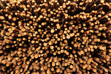 Wall of stacked wood, pine.