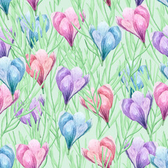Spring blooming of crocuses on the field. For decoration of postcards, print, design works, souvenirs, design of fabrics and textiles, packaging design, invitation, wrapping, packaging, print
