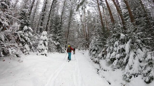 Splitboard and Ski touring Concept. Uphill in a line in the mountains forest woods. Winter adventure and breath taking view. Split boarding in the forest, on white powder day. Winter hike and travel.