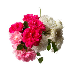 Bouquet of white and pink little rose flowers isolated on white. Top view.