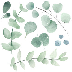 Watercolor eucalyptus clipart. Border clipart eucalyptus leaves clip art