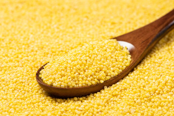 Raw Organic Healthy Millet in a Spoon