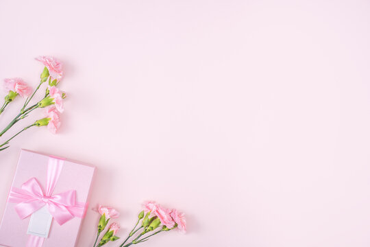 Mother's day design concept of pink carnation and gift box on pink background