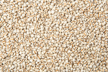 close up of Job's tears background