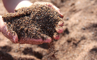 Children's hands in the sea sand. Dirty hand.