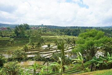Fototapeta na wymiar Beautiful landscape of Jatiluwih Rice Terraces in Bali, Indonesia