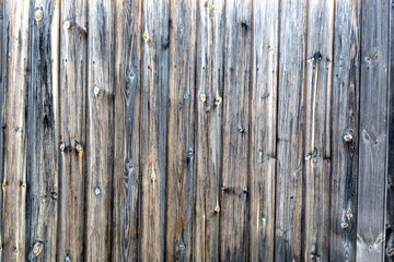 Fototapeta premium Fence surface for background