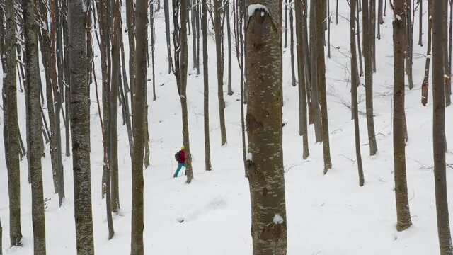 Splitboard and Ski touring Concept. Uphill in a line in the mountains forest woods. Winter adventure and breath taking view. Split boarding in the forest, on white powder day. Winter hike and travel.