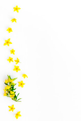 Flowers pattern. Flat lay of yellow flowers with leaves, top view