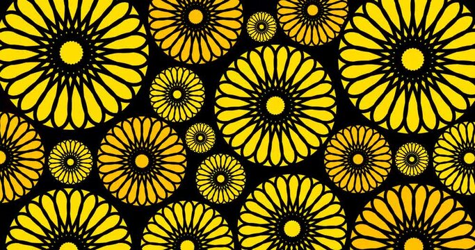 seamless yellow or sun flowers floral background, animate 4k footage clip