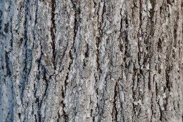 Surface for background
