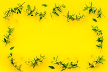 Wild spring flowers top view. Floral frame with space for text