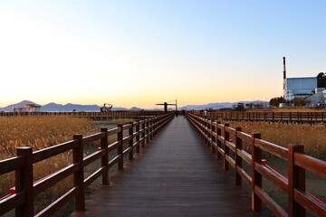 wooden trail in the field