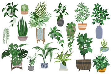 Big set of home plants in pots, scandi style - obrazy, fototapety, plakaty
