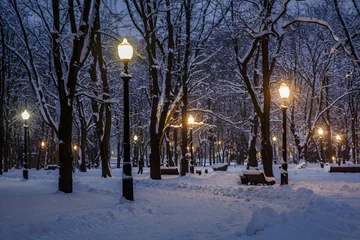 Fotobehang New York Winter park in the evening covered with snow with a included street lamps.  © 9parusnikov