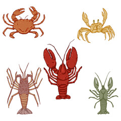 Vector Set of Cartoon Sea Animals. Omar, Lobster and Crab.