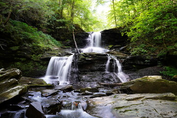 waterfall in the forest
