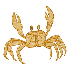 Crab Vector Cartoon Illustration
