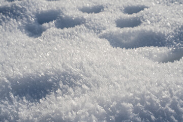 Schneekristalle, Winter