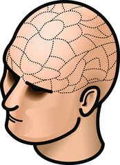Head with (fake) phrenology lines.