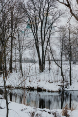 nature poster. winter forest and river