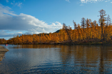 Russia. Far East, Magadan region. Picturesque autumn fishing from a boat on the tributaries of the Kolyma River.