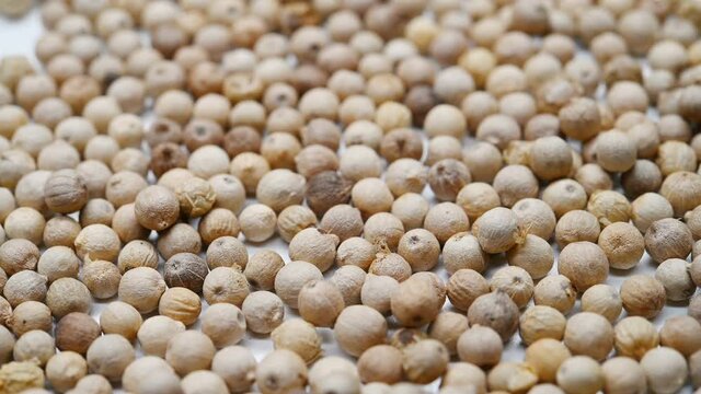 side view HuJiao or Piperis Fructus or Black Pepper Fruit rotating