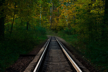 Fototapeta premium railway in the woods