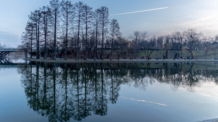reflections on the water of a trees