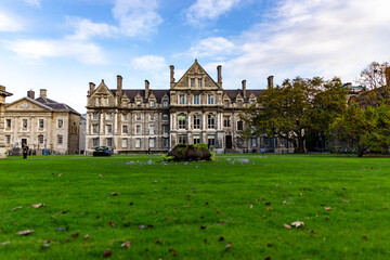 Fototapeta na wymiar castle in the park Dublin