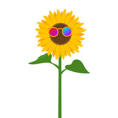 Sunflower wearing sunglasses isolated on white background. illustration vector