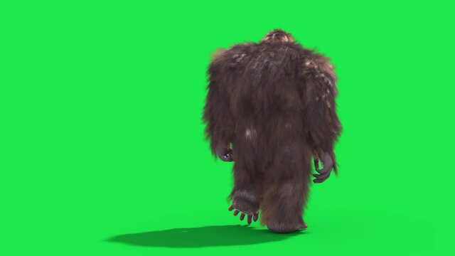 Green Screen Bigfoot Yeti Walk Back Real Fur 3D Rendering Animation 4K