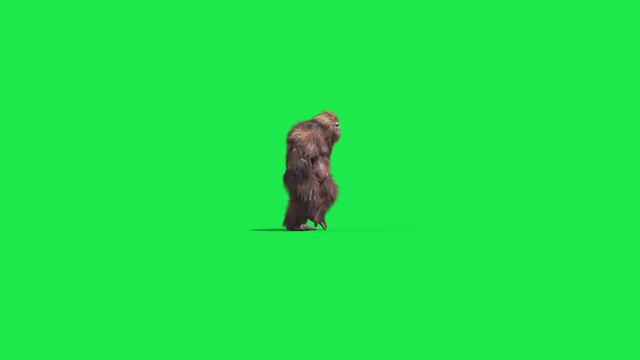 Green Screen Bigfoot Yeti Walk Side Real Fur 3D Rendering Animation 4K