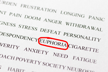 A set of words related to euphoria. Human dependence on bad habits