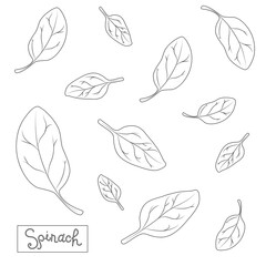 Pattern of spinach leaves in different shapes and sizes. With an inscription on a black and white background