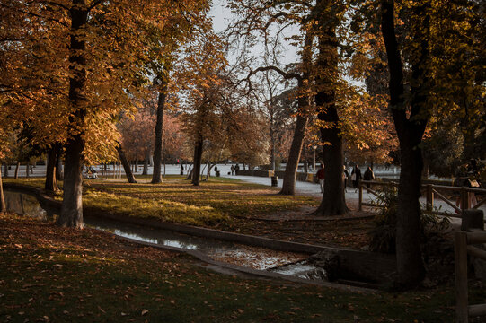 Beautiful place for relax in a park